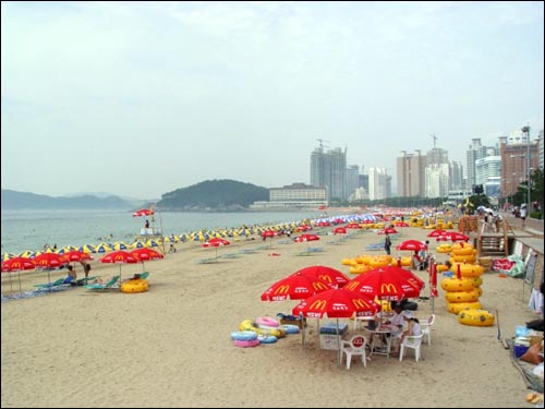 오전 10시, 아직은 한산한 해수욕장의 풍경입니다. 파라솔들은 손님 맞을 준비를 마쳤습니다. 